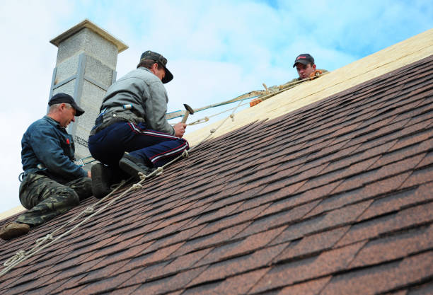 Best Metal Roofing Contractor  in Cresaptown, MD